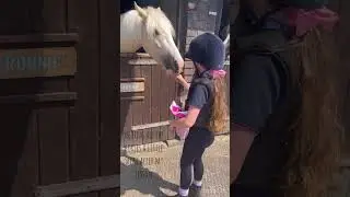 Burrows lane riding lesson