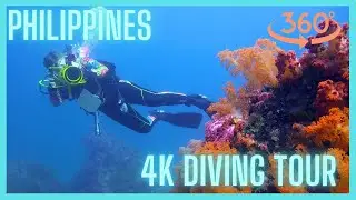 🌊🔍🐠 Underwater extravaganza: A virtual diving adventure to the Philippines in 4K quality
