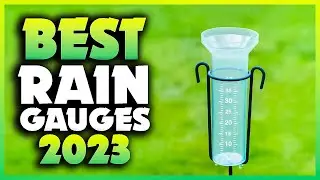 Top 5 Best Rain Gauges You can Buy Right Now [2023]