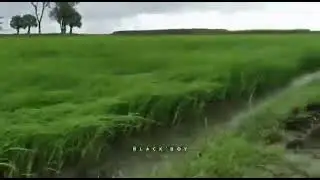 Natural beauty @@