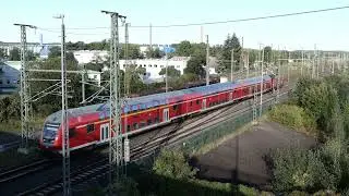 Zugverkehr in Coswig (Bz Dresden) am 11.09.2025 - Black Lady, Büchsen & Fernverkehr