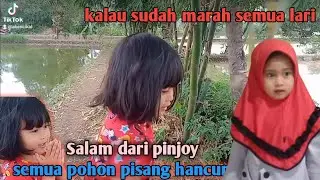 coba yang lebih besar. salam dari pinjoy