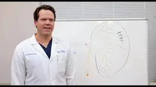 Partial and Total Nephrectomy