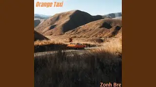 Orange Taxi