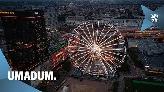Löwen auf dem Umadum-Riesenrad in München (19.08.2024).