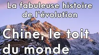 La fabuleuse histoire de l'&eacute;volution - Chine, le toit du monde