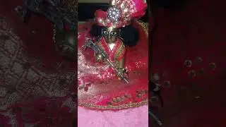 #shiriji#handmadecollection#laddugopal#dress#viralsort#radhey radhey