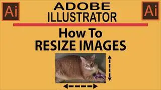 How To Resize An Image Using Adobe Illustrator