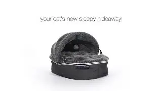 Meet the ambient lounge&reg; cat 