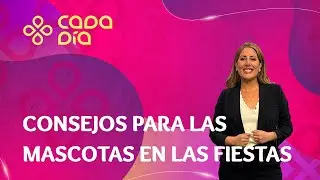 03 12 Consejos para las mascotas en las fiestas