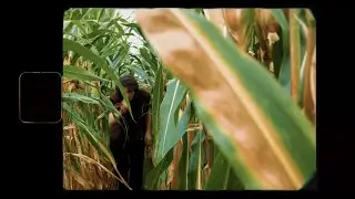 From October - I Feel Like Something Is Changing (Official Video)