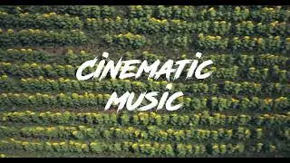 Flares - Life In Colour | Cinematic Music Background | Free Download 4K