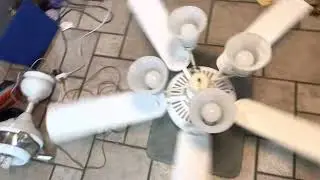 Monte Carlo builder supreme ceiling fan