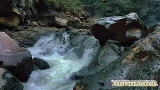 Enjoy the sound of rushing river to get a calm sensation to increase concentration & sleep soundly
