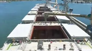 Export of Wheat, Corn, Barley from Russia. Marine grain terminal. Cargo seaport. IEC.