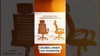 CELLBELL Desire C104 &mdash; Best Budget Ergonomic Mesh Office Chair for Long Hours