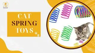 Cute Cats Spring Toys | The Best Spring Cat Toys | Cat Toys 2024 | The Set Pet