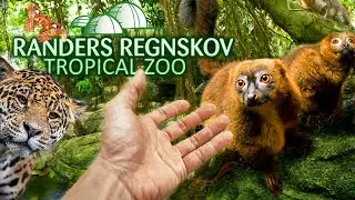 A Zoo where YOU CAN ENTER The Enclosures!