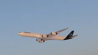 XP12 | Toliss A340-642 Calgary Airport Airport Landing