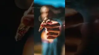 New Bodo Status Video 2021 || Problem Addict Bodo Rap Song ft. Chilly Pepper || WhatsApp StatusVideo