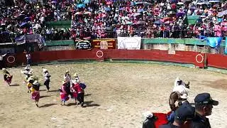 Cosecha de trigo ...en Pomabamba