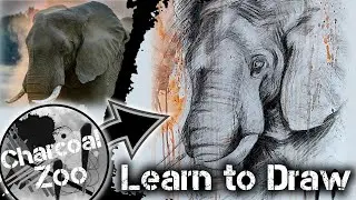 How to Draw a Realistic Elephant &ndash; Step-by-Step Charcoal Art Tutorial