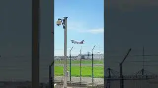 Air Cairo a320 neo Taking Off *Insane*✈️