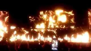 Chris Brown: New Flame in Tampa