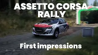 First impressions of ASSETTO CORSA RALLY | Henrix