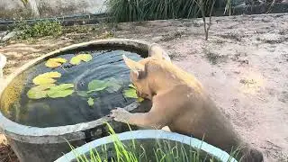 What kind of water are you drinking?