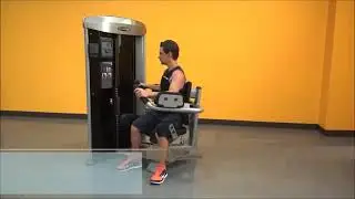 Steelflex MEGA POWER   MOT 1800 Rotary Torso Machine