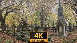 Autumn Walk Through Birmingham's Oldest Cemetery 4K