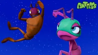 Ants in the Wrestling Ring! | Antiks 🐜 | Funny Cartoons for Kids