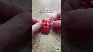 Tomato Trauma: Suture Kit vs. Butterfly Bandage Sparks 10 Million Opinions!