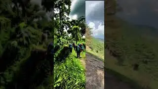 Hiking time🥾 #nature #rainforest #plantsandtrees #hiking #adventure #youtube #tranding #traveling