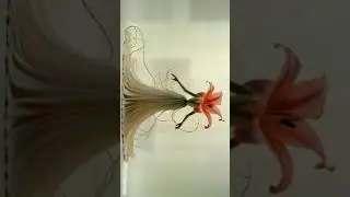 A majestic Lily flower forms the body of humanoid figure