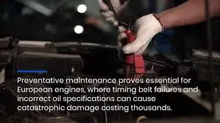 How Doylestown, PA Residents Can Cut Auto Repair Bills in Half for Porsche & Audi