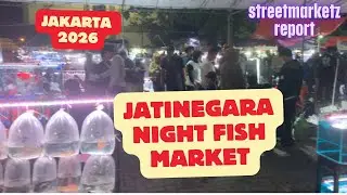 Jatinegara Night Fish Market Jakarta - Indonesia's Largest Aquarium Market | Evening Market Tour