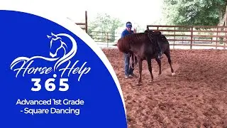Advanced 1st Grade - Square Dancing | Horse Help - Michael Gascon