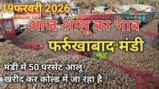 19 February 2026 Potato price today Farrukhabad Mandi 50% potatoes from Mandi going to cold stora...