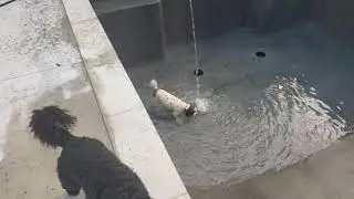First pool fill up