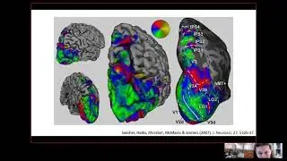 Perceptual awareness in the blind visual field: subjective reports and neural markers