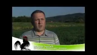 Kalcifikacija zemljišta