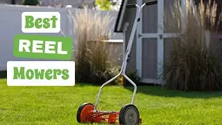 Best Reel Mowers: Mow Green and Enjoy a Quiet, Beautiful Lawn | The Guardians Choice