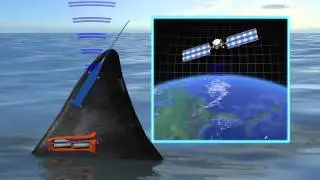 Man-eater great white shark caught in Florida, tracked across Atlantic Ocean
