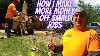How I Make More Money Off Small Stump Grinding Job