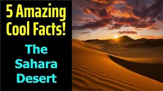 5 Fascinating Facts About The Sahara Desert