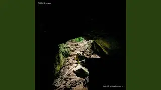 Stille Sorgen