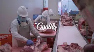 European Beef Industry
