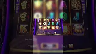 Dancing Drums Mystery Pick $.88 Cent Bet $.1 Cent Denom. #shorts #dancingdrums